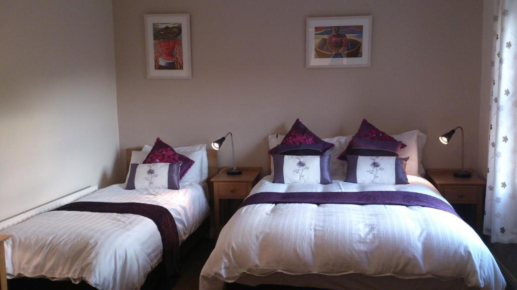 مبيت وإفطار Roundstone Retreats Islandview الغرفة الصورة